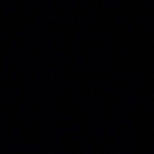 Meet your Posher, Bertha